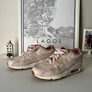 Nike Air Max Shoes